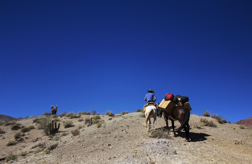 Vila Hacienda Los Andes Hurtado Exteriér fotografie